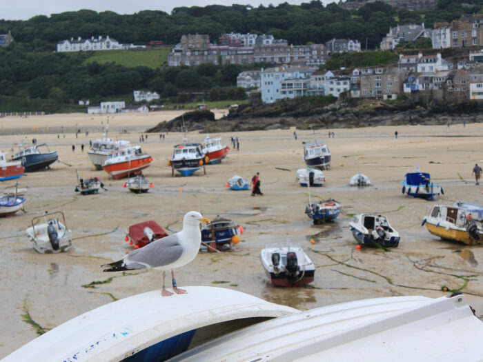 Beach scene in Cornwall