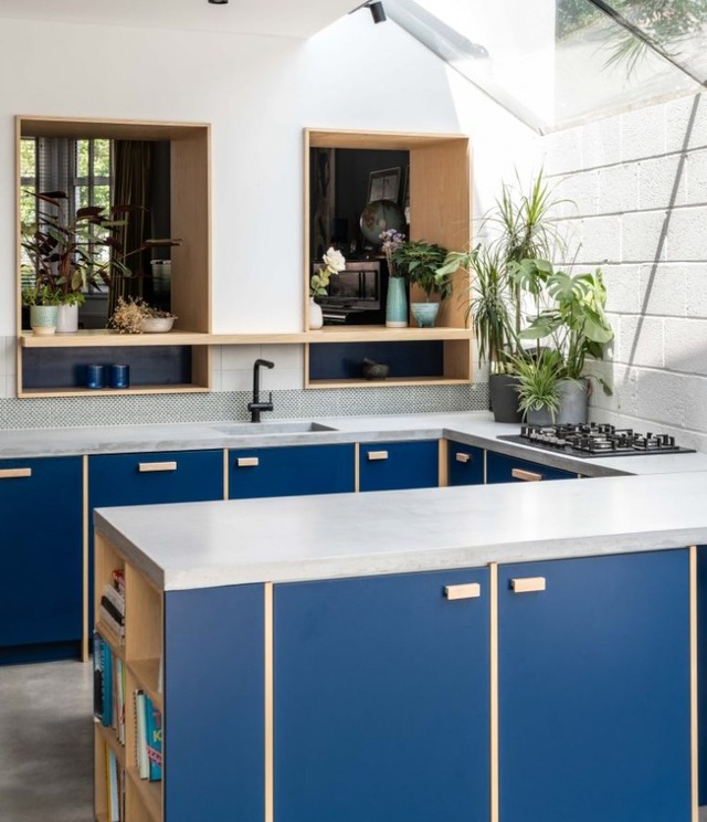 blue grey kitchen with plants 